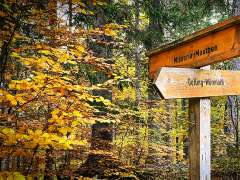 E_fitmachmit_ank&uuml;ndigung