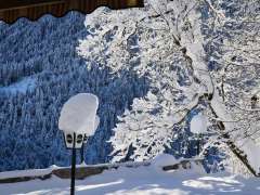 lamprechtbauer_klein