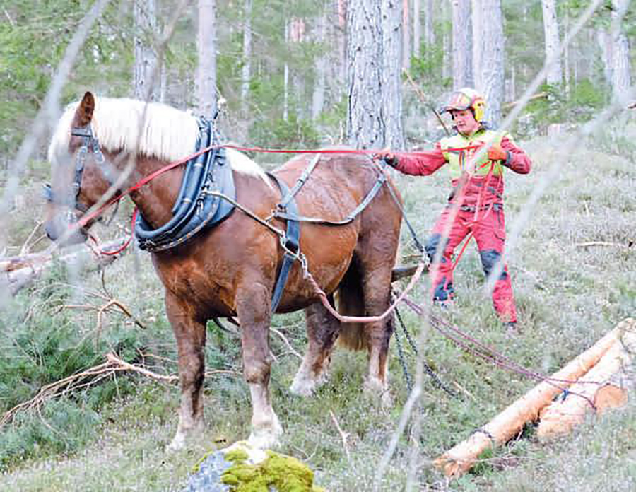 (c) privat, KLEINE ZEITUNG