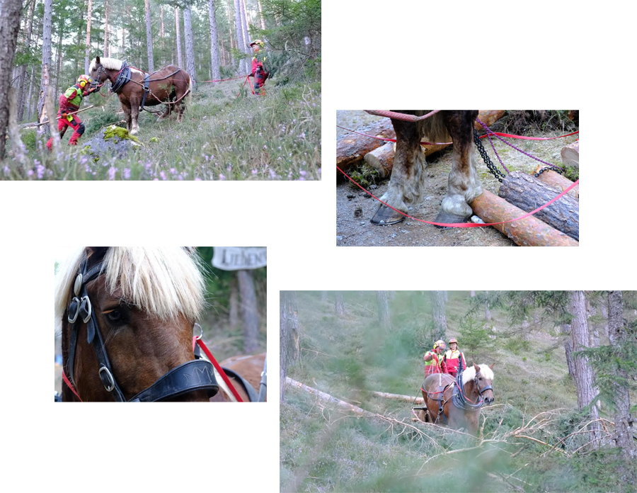 (c) privat, KLEINE ZEITUNG